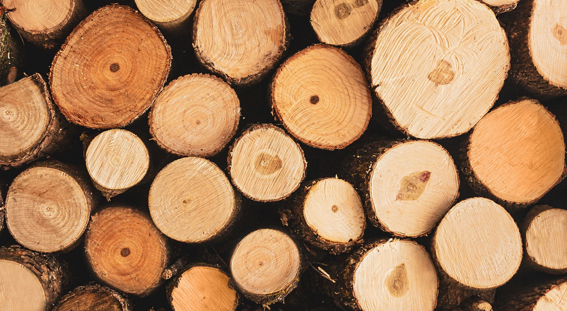 redovisningsekonom-till-sveriges-fria-bygghandlare-image