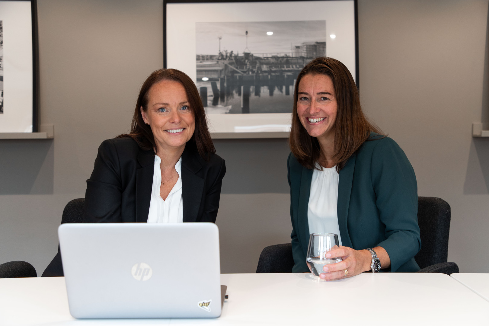 SJR Interim Finance Manager konsult