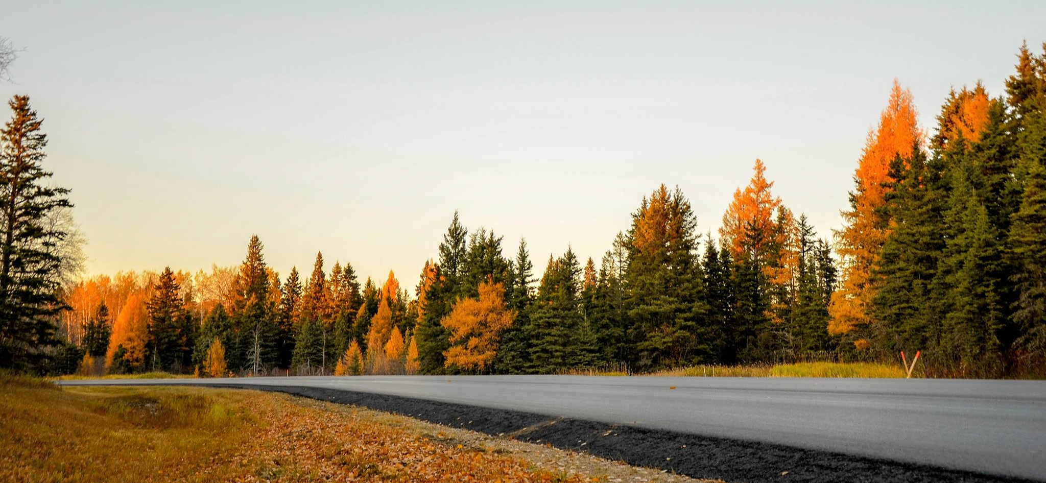 ekonomiansvarig-till-langsiktig-tjanst-image