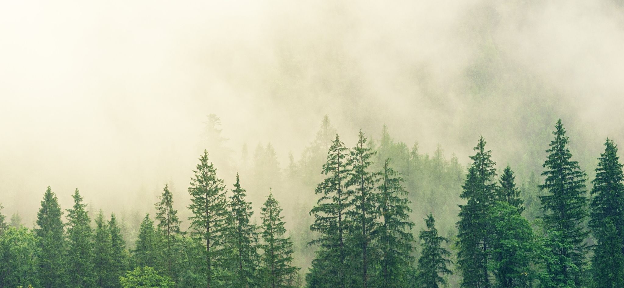 loneadministrator-till-konsultuppdrag-image