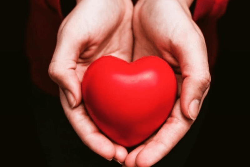 junior-controller-till-lejongardar-i-helsingborg-image